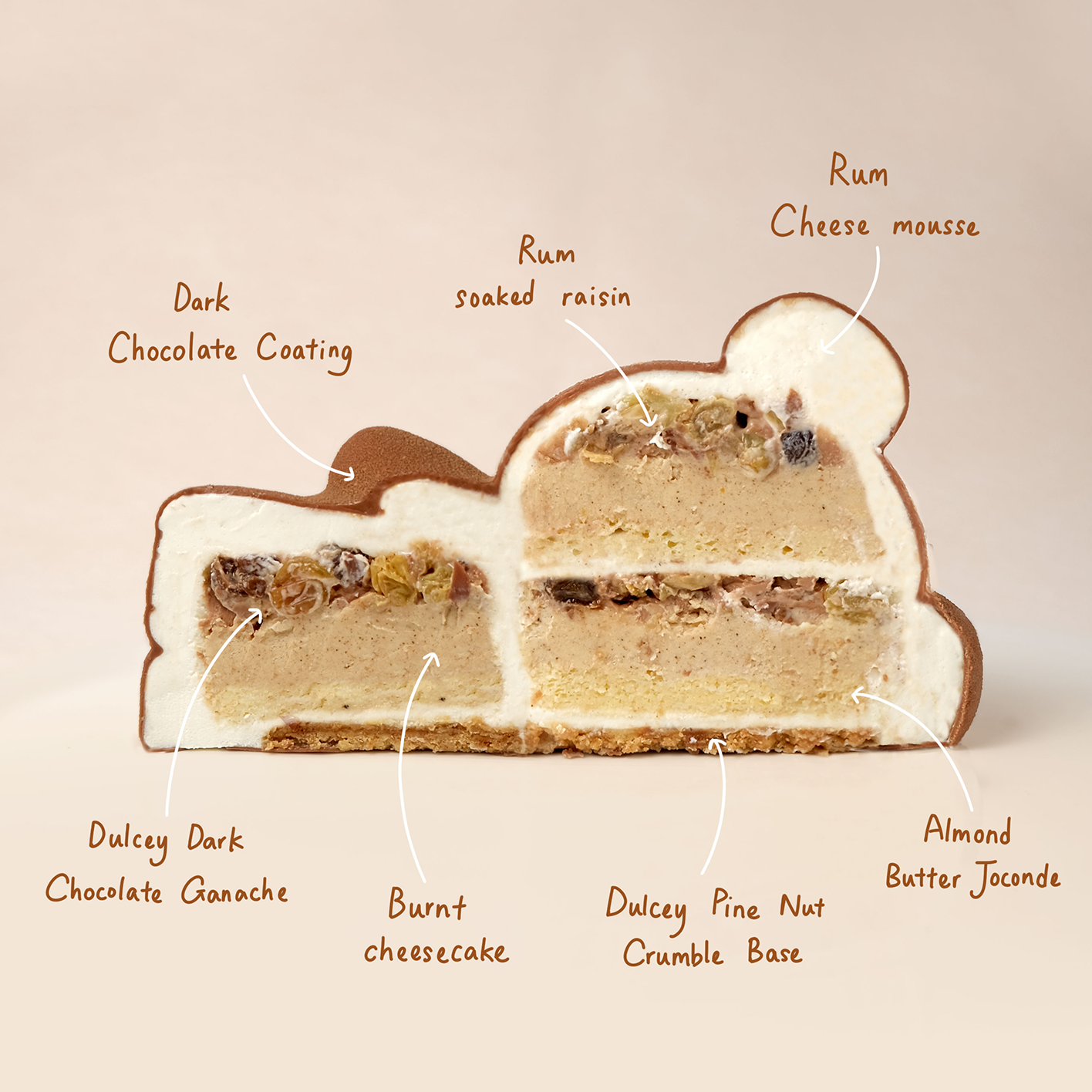 RumandRaisinwholecakeside.png