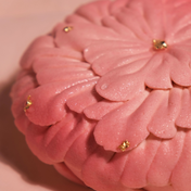 Strawberry Guava